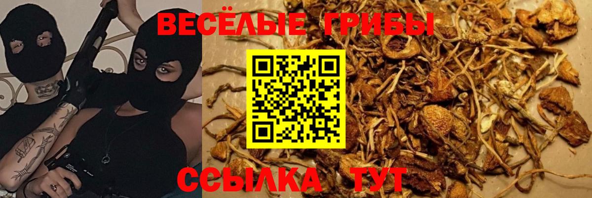 Псилоцибиновые грибы мухоморы Стрежевой